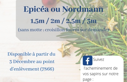 Offrez-vous un Noël qui a du sens !